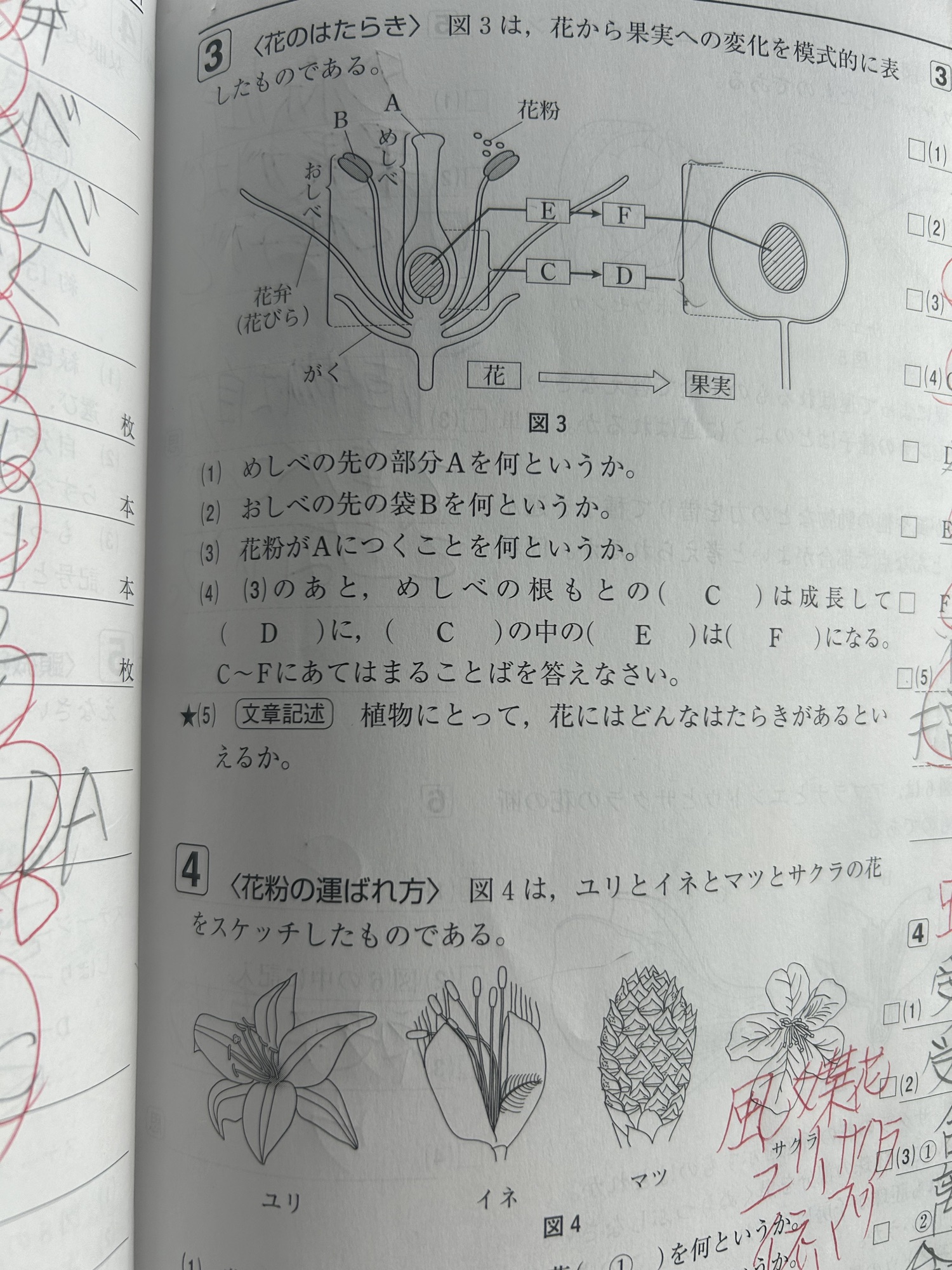 週末の営業日程のご案内